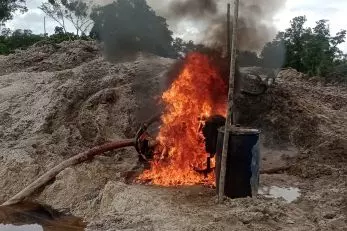 Vídeos mostram incursão da PF em mata e queima de maquinário